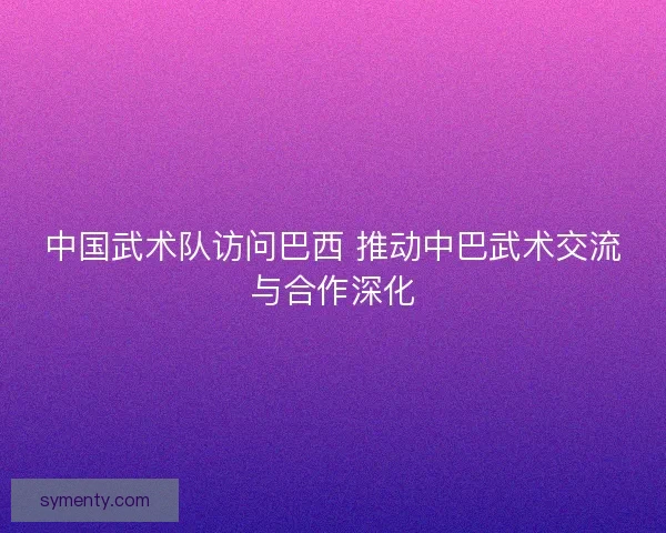 中国武术队访问巴西 推动中巴武术交流与合作深化
