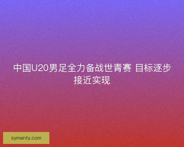 中国U20男足全力备战世青赛 目标逐步接近实现
